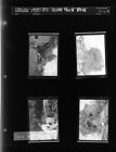 Junkyard Fire (4 Negatives) (1952-1953) [Sleeve 42, Folder g, Box 1]